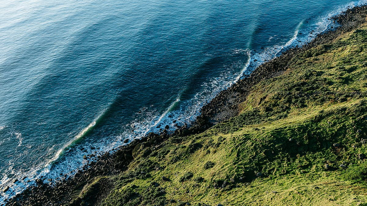 New Zealand beach and land