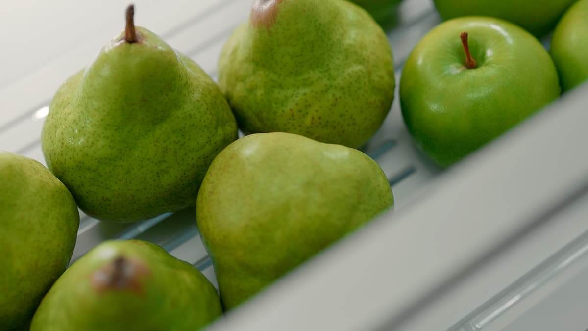 Fresh pears stored at optimal serving temperature
