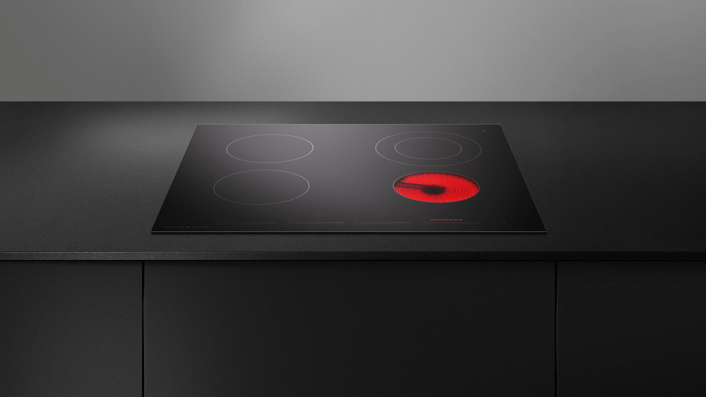 Fisher & Paykel Steam Ovens