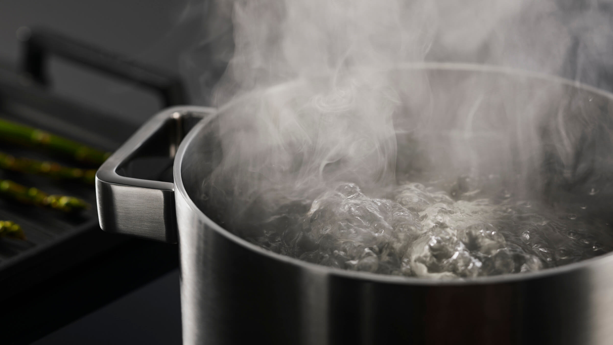 Fisher & Paykel oven testing